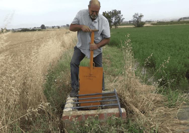 La campanya de reg del Canal d’Urgell recupera l’estabilitat