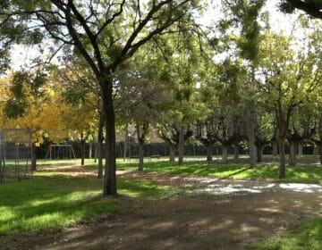 L’Ajuntament allarga fins a final de mes la votació per decidir la reforma del parc per desfer un empat